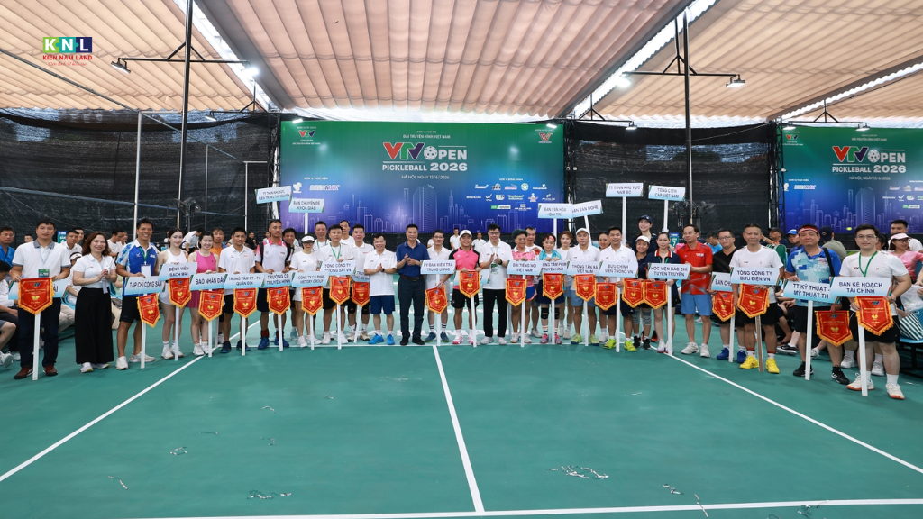 pickleball vtv open